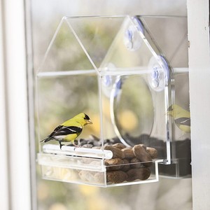 Acrylic Transparent Window Bird Feeder Large Weather Suction Cups