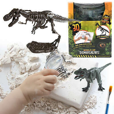 Dinosaurier-Fossil Skeleton stellt Kinderspielzeug-Dinosaurier-Spielwaren dar