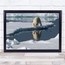 In The Mirror Arctic Polarbear Arctic-Ocean Wall Art Print