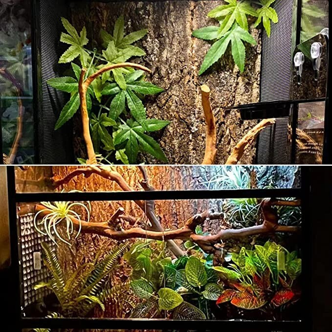 Terrarium Cork Bark Aquarium Wall Decor Background Board Reptile Tank