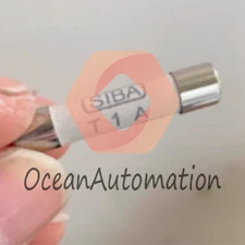 new 10pcs T1A SIBA fuse