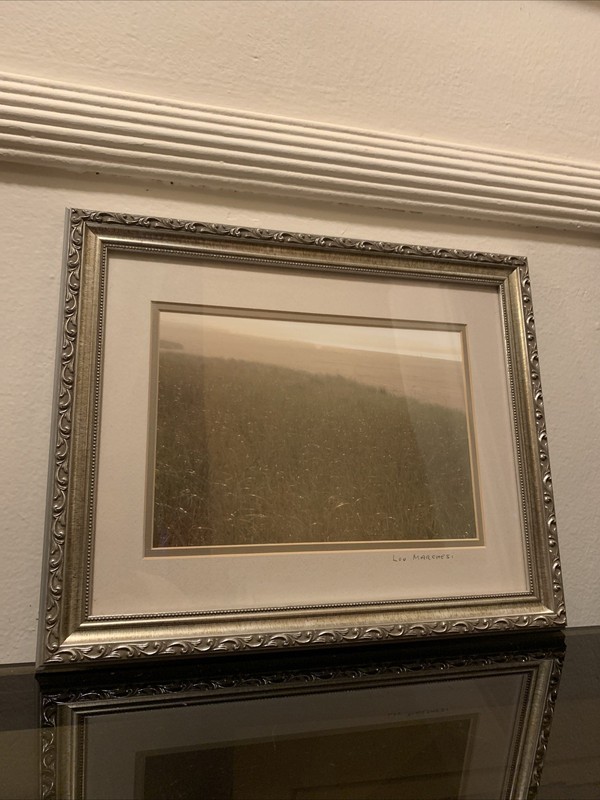Vintage Lou Marchesi Cornfield Framed Photograph Sunset