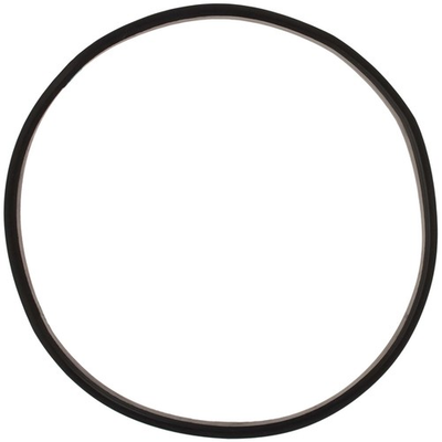 #ad Replacement Rubber Gasket for 8 Gallon Pressure Tanks $38.24