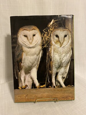 アート・デザイン・音楽 BIRDS and their World John Andrews Birds and Their World Hardcover John Andrews | eBay