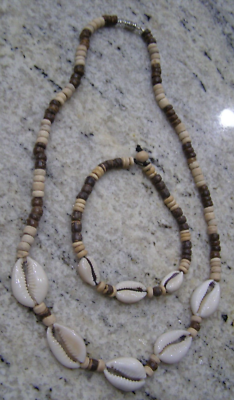 Cowrie shell 18