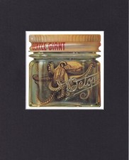 8X10" Matted Print Album Cover Art Picture: Gentle Giant, Octopus