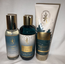 3 Bath Body Works Eucalyptus Pine Essential Oil Mist, Wash/Foam Bath,  Lotion
