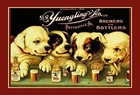 Yuengling & Son Ale and Beer Dogs Vintage Look Custom Metal Signs 8 X 12 - Bar C