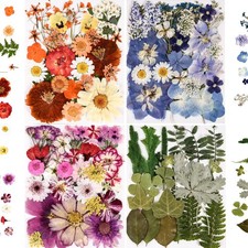 110 PCS Pressed Flowers for Resin molds Real Dried Flower Leaves for Resin Je...