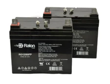 Raion 12V 35Ah Bruno Police 46 Battery 2PK