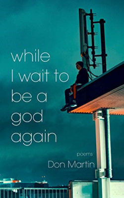 while I wait to be a god again - Paperback NEW Martin, Don 08/02/2020