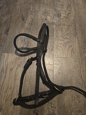 bitless bridle
