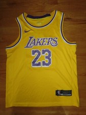 Nike LEBRON JAMES No. 23 LOS ANGELES LAKERS Size 48 Basketball Jersey