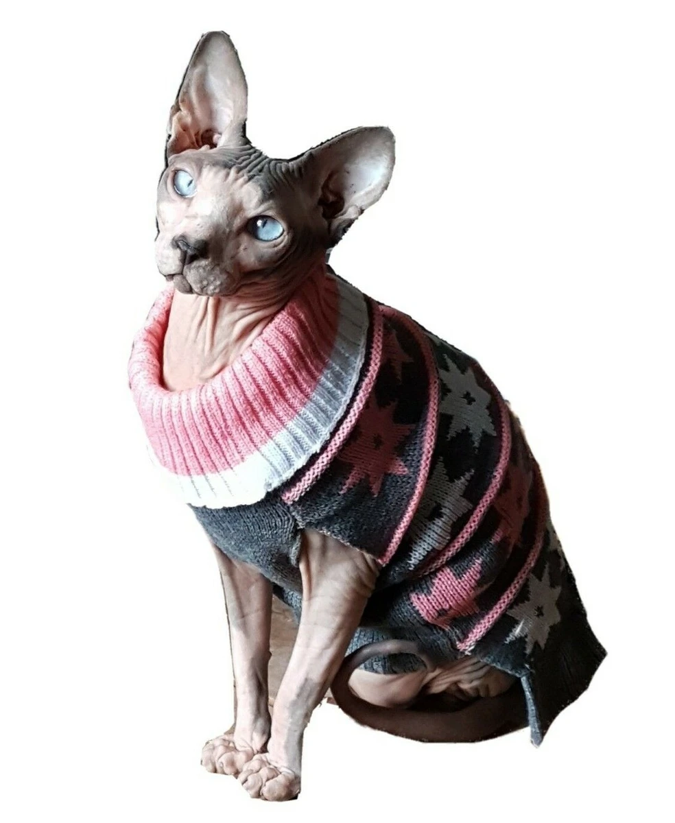 Designer Sphynx Clothes, Gucci Shirt, Dress for Sphynx, Luxury Shirt in  2023