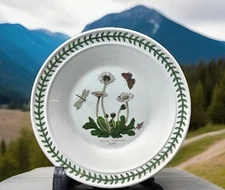 Vtg 1972 Portmeirion Botanic Garden Soup Bowl Circa 1818 Daisy Rimmed England