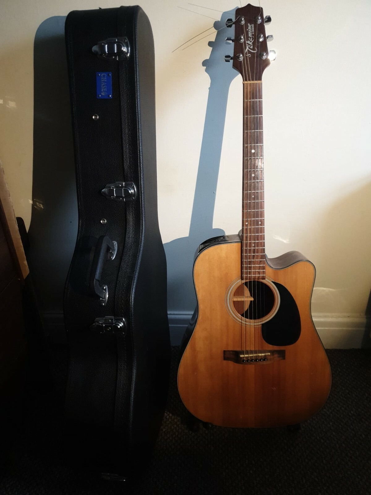 takamine case
