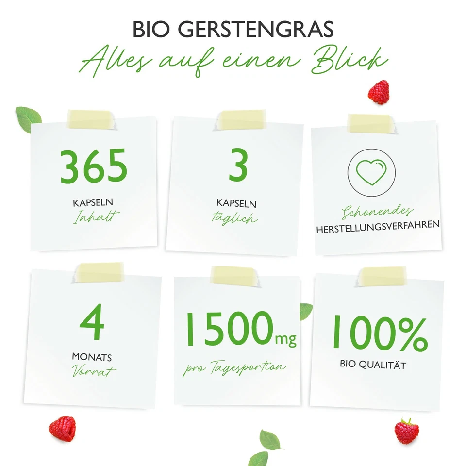 Bio Gerstengras - 365 Kapseln (V) á 500 mg junges Gerstengras-Pulver Hochdosiert - Bild 2 von 4