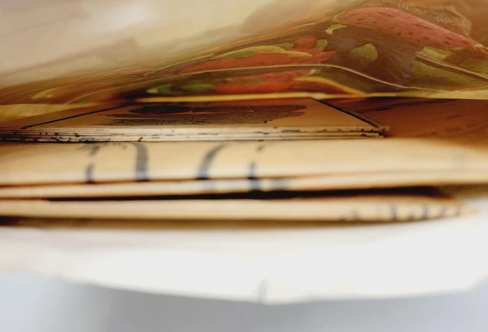 Vtg Vogue 1566 Anthropomorphic Fruits & Vegetables Plush Pattern - Image 3 of 3