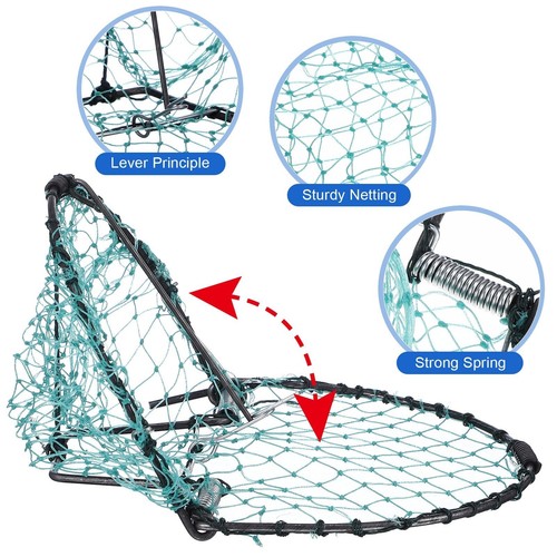 Yardwe Pigeon Bird Trap Bird Net Quail Catcher Pigeon Catching Net for Small ... - Picture 5 of 9