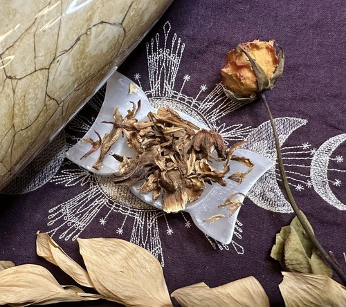 Flor de hibisco blanco, pureza, devoción, amor, adivinación, rejuvenecimiento, bruja - Imagen 2 de 2