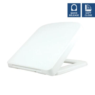 RAK Ceramics Summit Soft Close Urea Seat With Quick Release Hinge