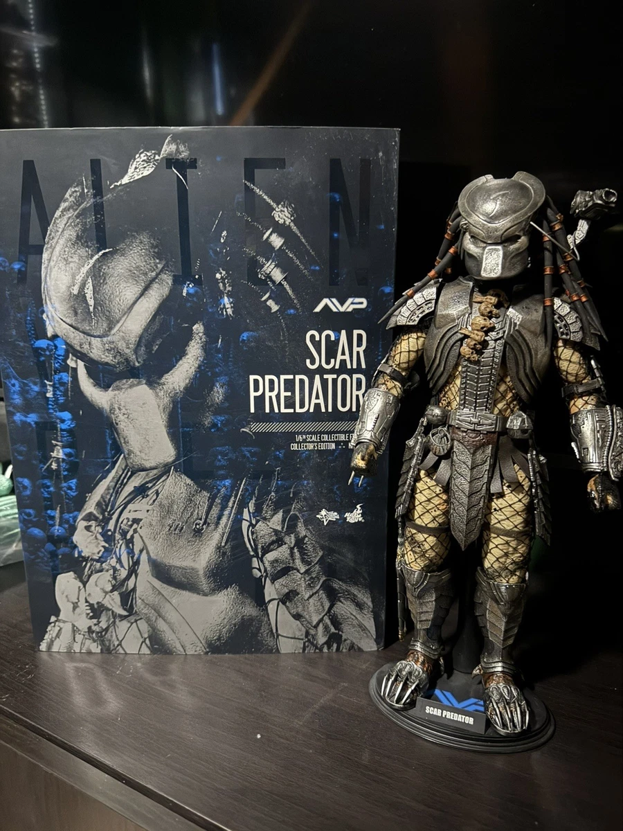 SF・ファンタジー・ホラー Hot Toys AVP Scar Predator 2.0 1/6 Hot Toys Scar Predator for sale | eBay