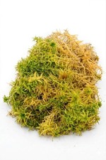 Sphagnum Moss 100% Organic Live Fresh,For hanging baskets,Terrarium,Vivarium 1 L