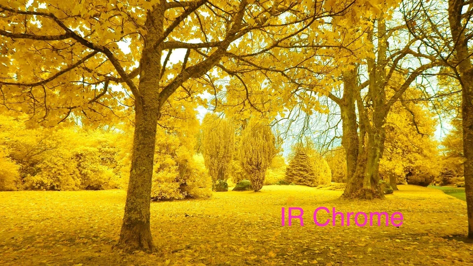 Infrared Filter Aerochrome IR Chrome, IRchrome 72mm Filter / UK Seller - Image 2 of 4