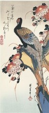 Ukiyo-e Reprint Utagawa Hiroshige Kiku ni Kiji Woodblock Art