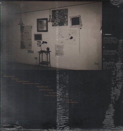 Drahla Useless Coordinates LP vinyl USA Captured Tracks 2019 indies only - Picture 2 of 2