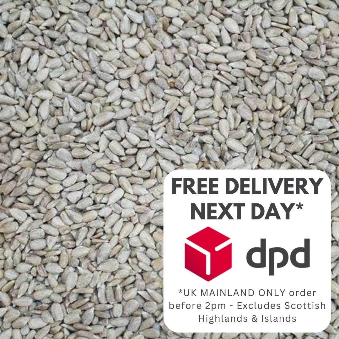Sunflower Hearts 25 Kg 2 x 12.55kg Premium Bakery Grade Dehulled Kernels Wild...