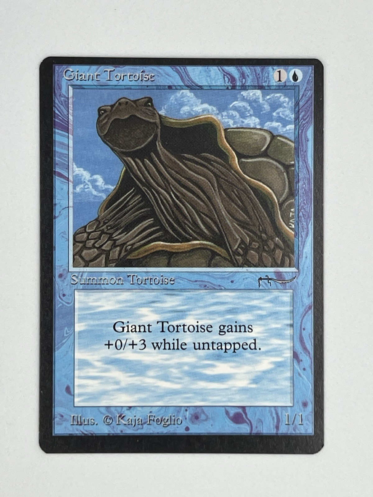 MTG GIANT TORTOISE (Light) Arabian Nights Regular NM Magic The Gathering