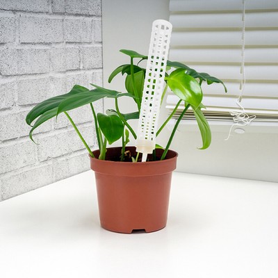  2 Pcs Septische Moosstabe Moossticks Für Innenpflanzen Kunststoff