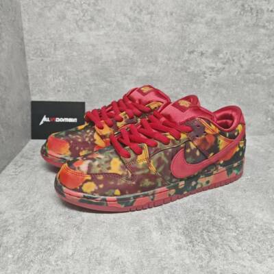 Level SS/New - The Wizard of Oz × Nike SB Dunk Low Pro Poppy Field FZ1291-600