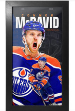 2015-16 Upper Deck Biography of a Season Hockey Cards 23