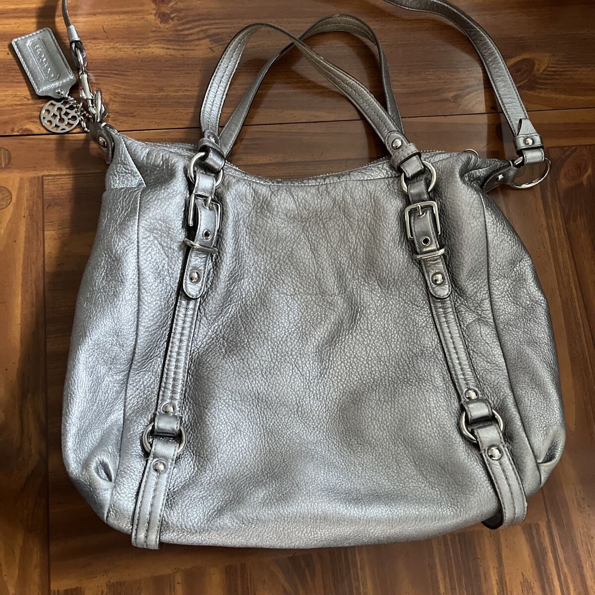 Coach metallic 2way shoulder bag-