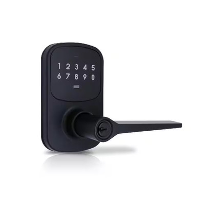 Compact Touch Matte Black Electronic Touchpad Keyed Entry Door Handle with Freed