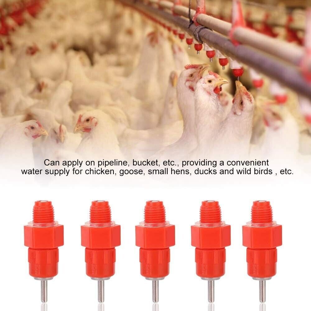10-100 Pcs Poultry Water Nipple Drinkers – Screw-In Style For Chickens, Ducks & Hens