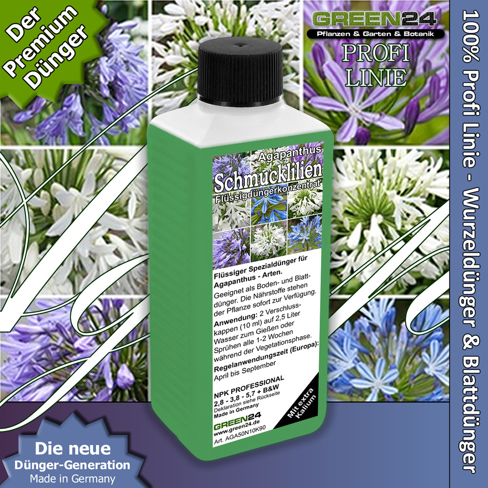 Schmucklilien Dnger Agapanthus dngen Flssigdnger Schmucklilie,  Liebesblume