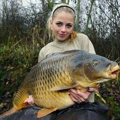 Gulp! Paddleshad | Berkley Fishing , Black Gold / 3 In - Foto 8