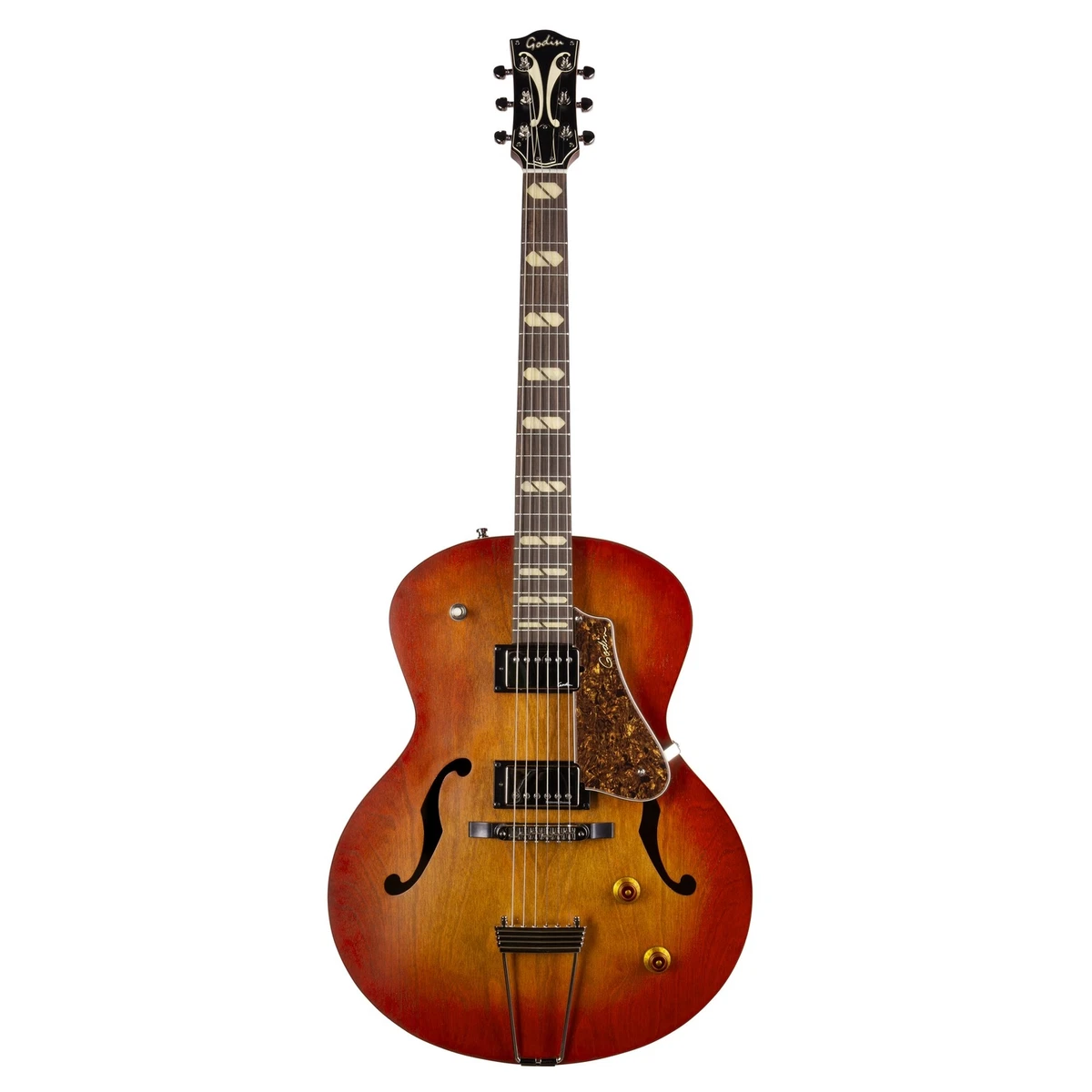 Godin 5th 2024 avenue archtop