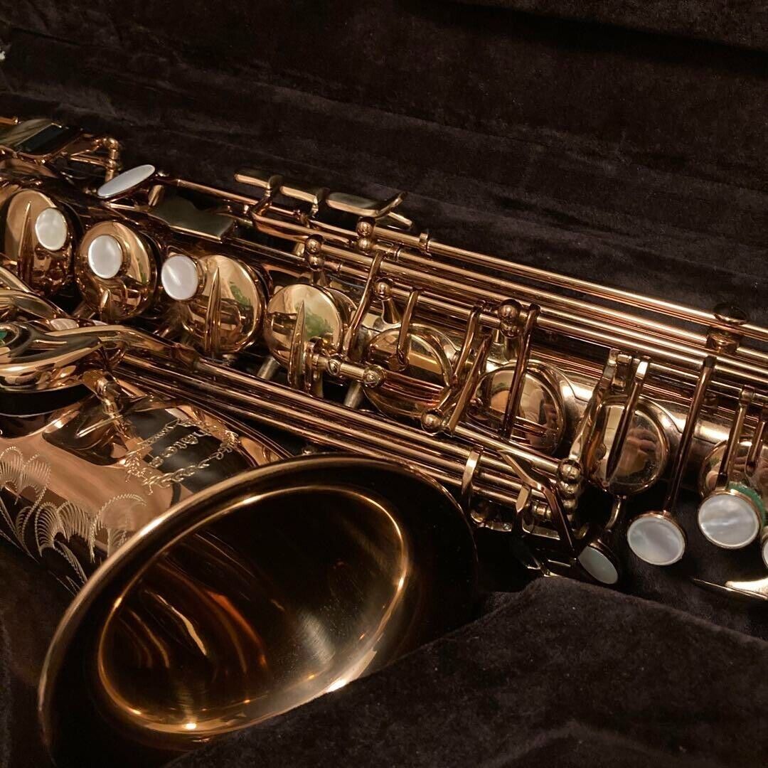 Chateau Alto Saxophone CAS-H92DL | eBay Chateau Alto Saxophone CAS-H92DL | eBay