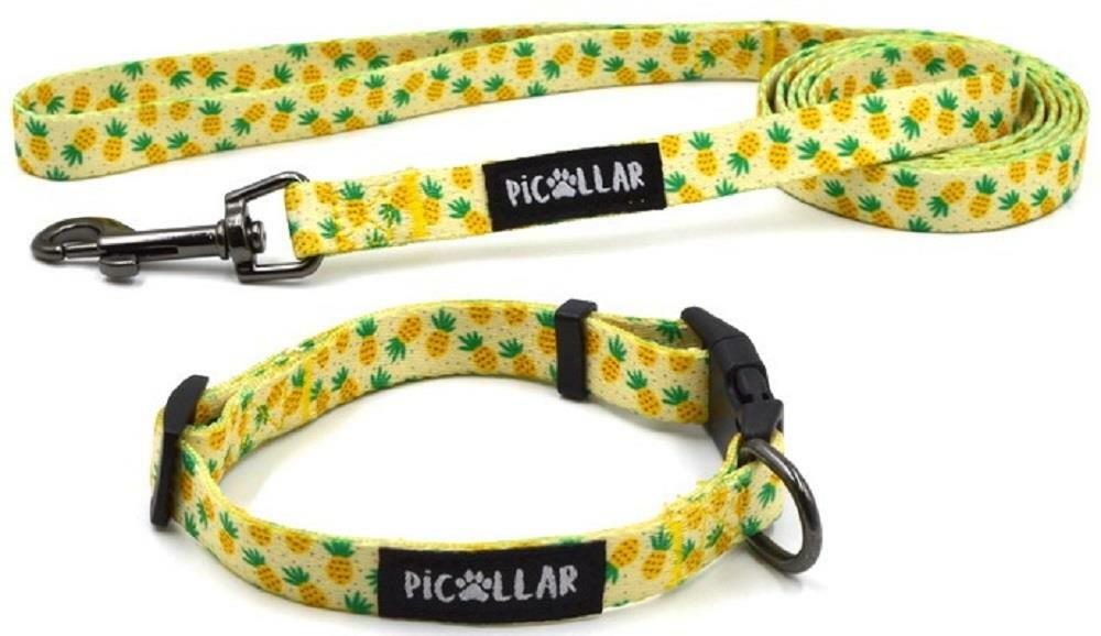 pineapple dog leash
