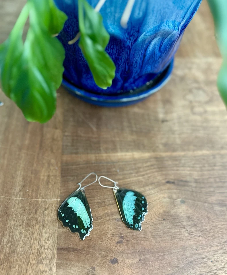 Brincos de asa de borboleta artesanais asas de borboleta reais joia presente - Imagem 2 de 4