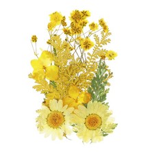Dried Pressed Flowers Real Pressed Flowers Dry Leaves for DIY Crafts Yellow
