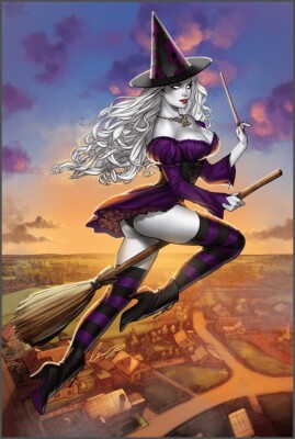 Sexy Witch on Flying Broomstick Pinup Poster Metal Sign 12x8