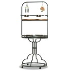 Papageienfreisitz Vogelfreisitz New Starlite Antik von Montana Cages Freisitz