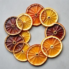 Digital picture Orange Citrus Dried Slices JPG printable file
