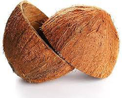 COCONUT SHELL Halves 100% Natural Coconut Shell Organic Coconut Bowl, 