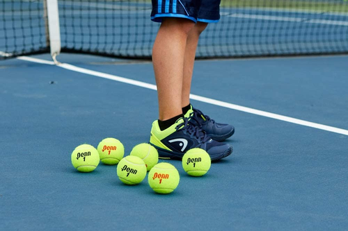 Pelotas de tenis de campeonato - Pelotas de tenis presurizadas de fieltro extra resistente - Imagen 10 de 11